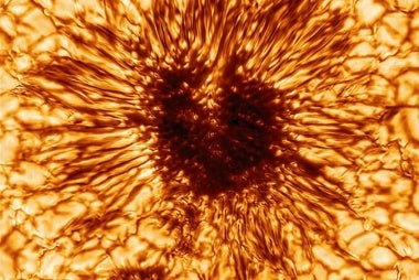 sunspot image