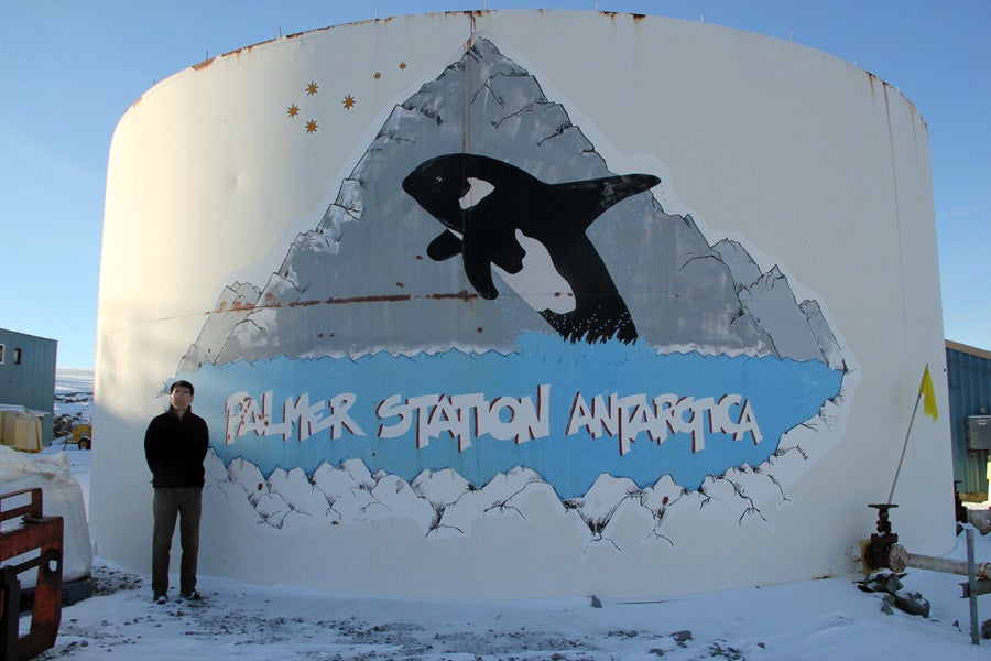 Palmer tourist trap.