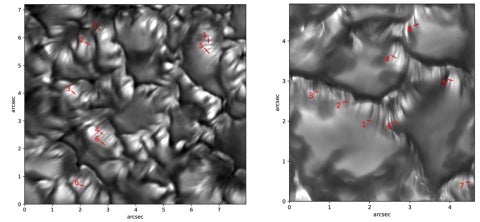 DKIST-MURaM observations