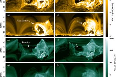 Ground Truth and Data Driven simulations