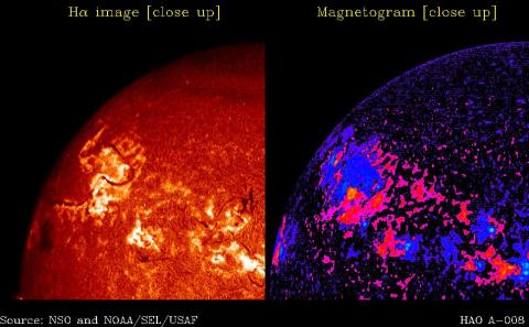 Hα image and Magnetogram [up close]