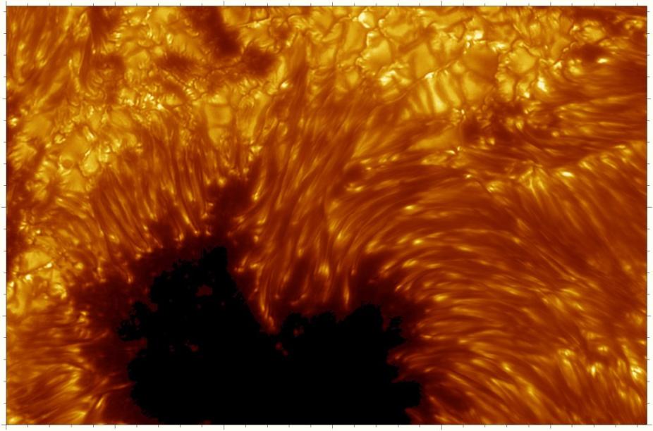 Sunspot observed with the Swedish Solar Telescope
