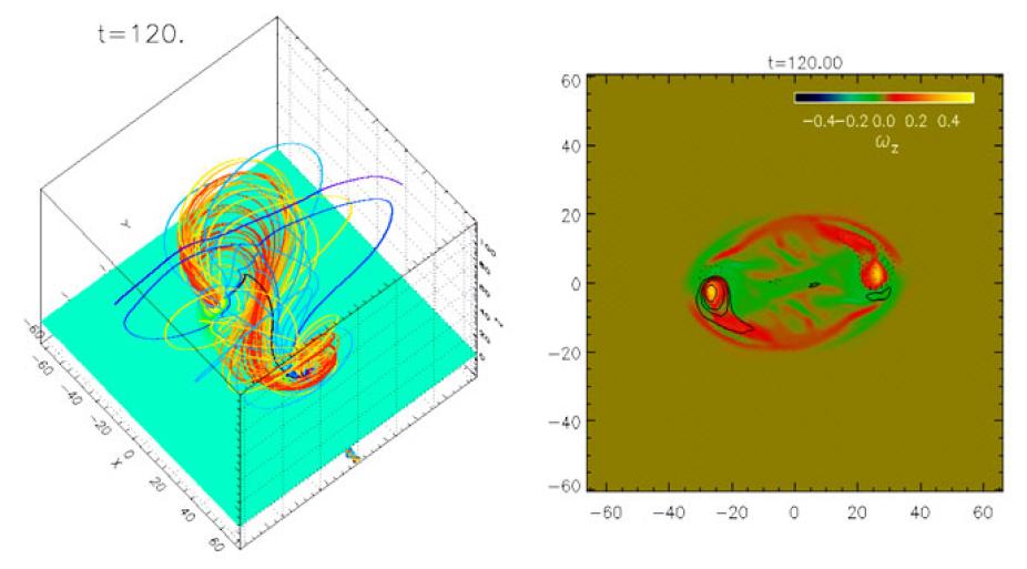 The left panel shows the 3D coronal magnetic field resulting from flux emergence. The black field line is the line going through the O-point of the transverse magnetic field in the central cross-section (at x=0), representing the new axis of the coronal flux rope structure. The right image shows the z-component of the vorticity on the photosphere overlaid with contours of Bz with solid (dotted) contours representing positive (negative) Bz. The image show counter-clockwise vortical motion (i.e. positive z-vo