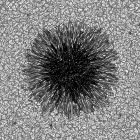 MURaM Sunspot Model output